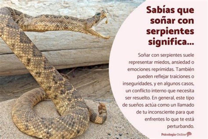 ¿Qué significa soñar con orquideas lilas?