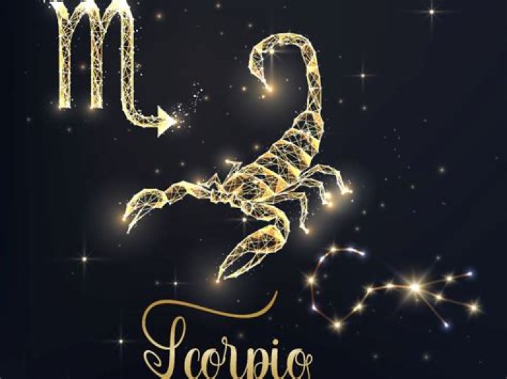 ¿Qué significado tiene un escorpión?