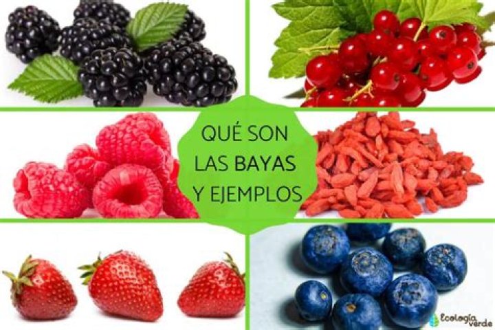 ¿Qué son las bayas frescas?
