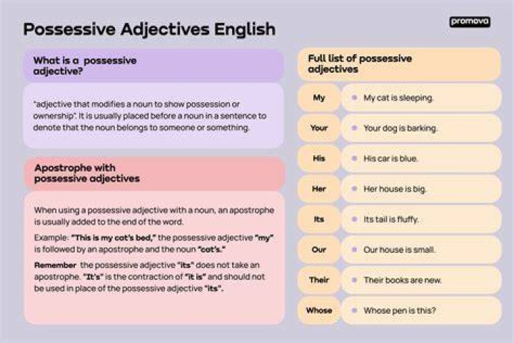 ¿Qué son los Possessive adjectives and pronouns?