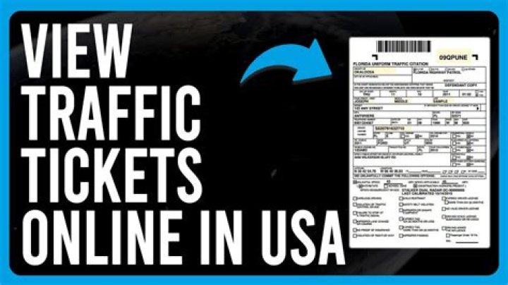 Should I mention traffic ticket on n400?