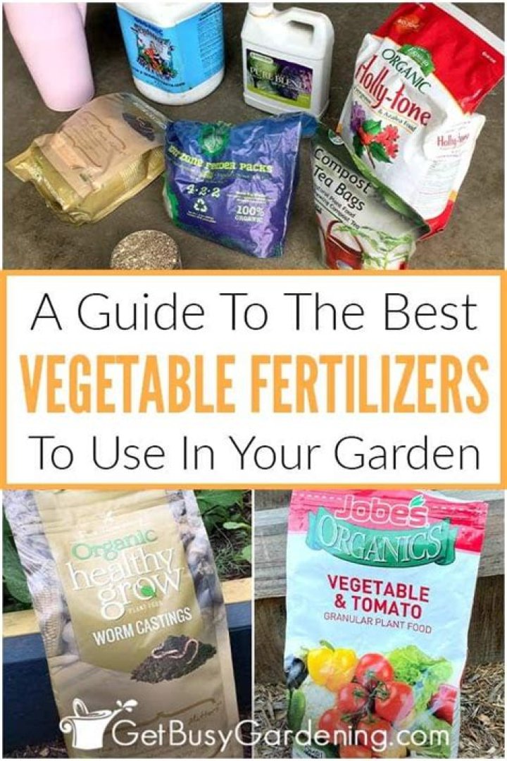 What's the best fertilizer for vegetable gardens?