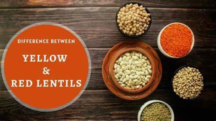 What's the difference between lentils?