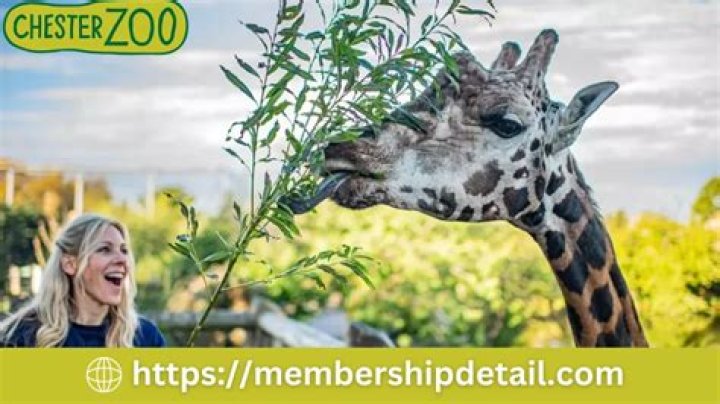 What age is a child ticket at Chester Zoo?