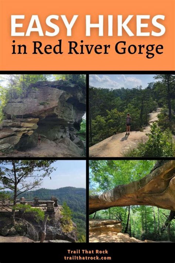 What animals are in Red River Gorge?