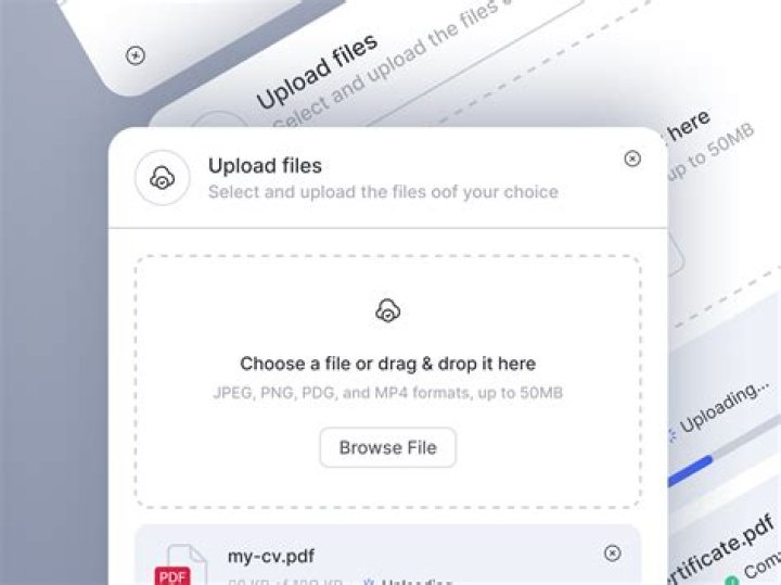 What app will open any file?