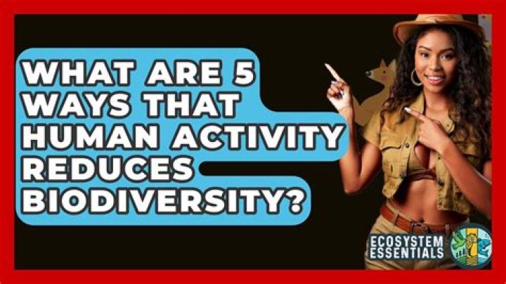 What are 5 ways that human activity reduces biodiversity?