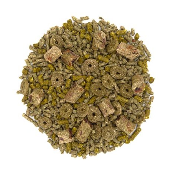 What are gerbil pellets?