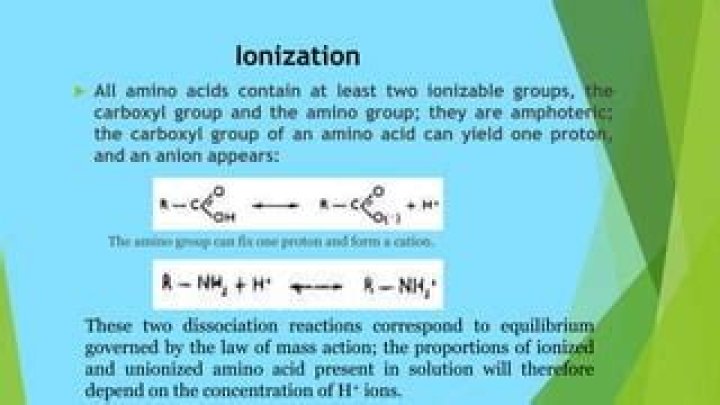 What are ionizable groups?
