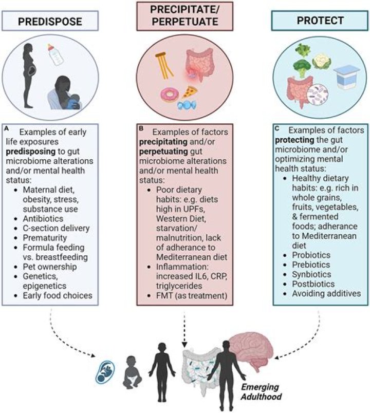 What are precipitating factors for attacks of seizure?