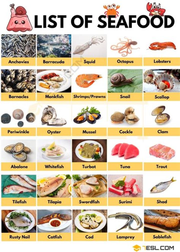 What are some examples of seafood?