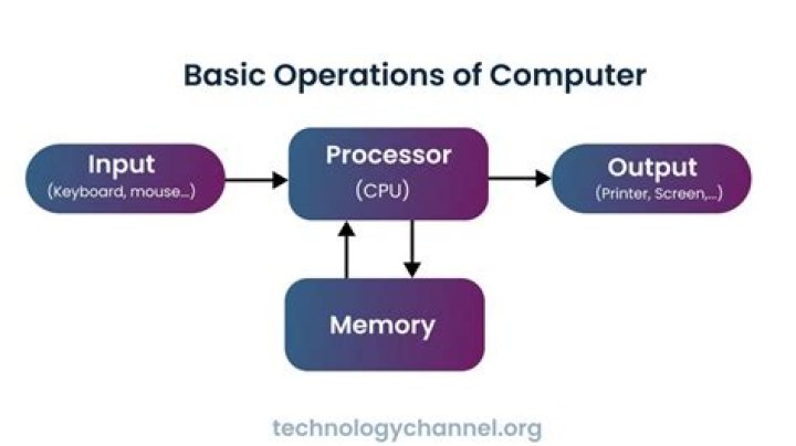 What are the 4 basic computer operations?