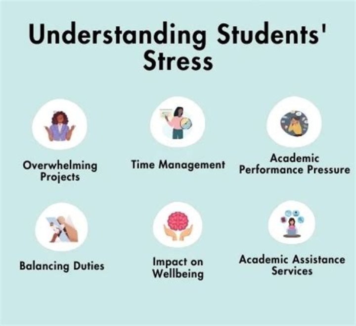 What are the academic stressors?