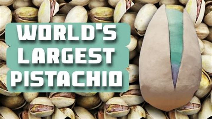 What are the best pistachios in the world?
