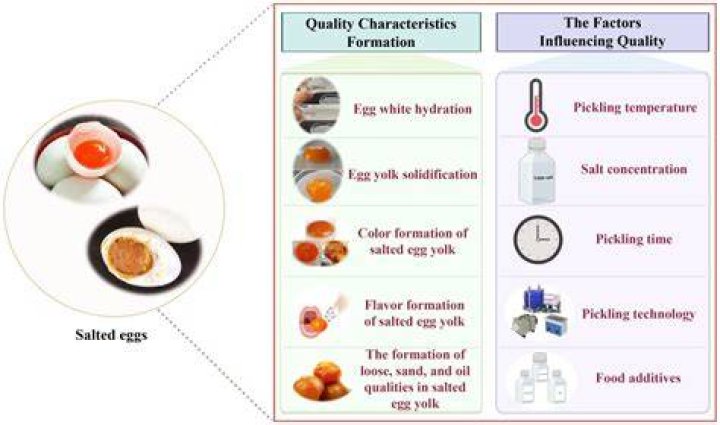 What are the characteristics of acetate?