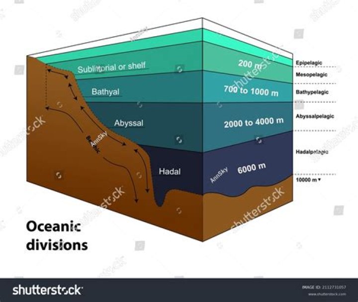What are the different levels in the ocean?