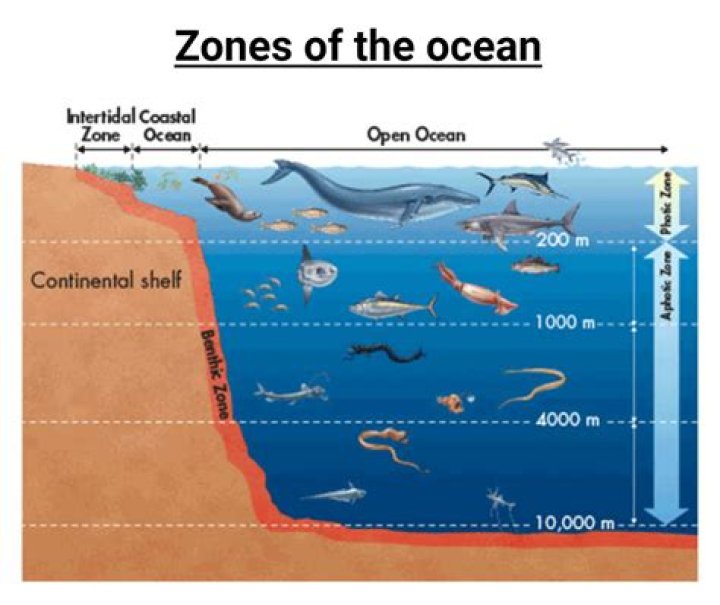What are the different parts of ocean floor?