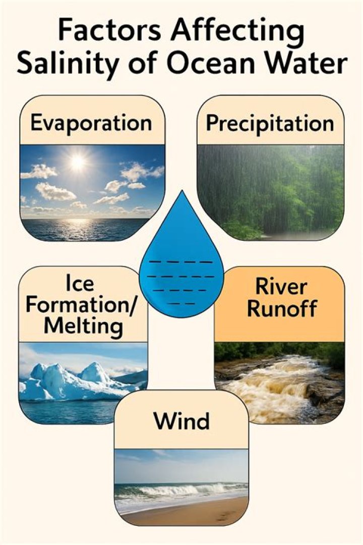 What are the factors affecting the salinity of the sea water?