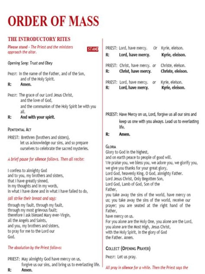 What are the five parts of the ordinary mass?