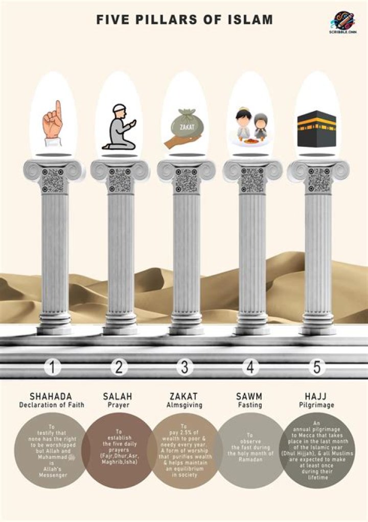What are the five pillars of CJS?