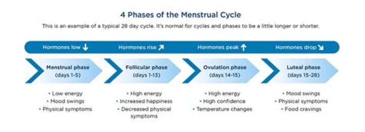 What are the four phases of the knowledge spiral?