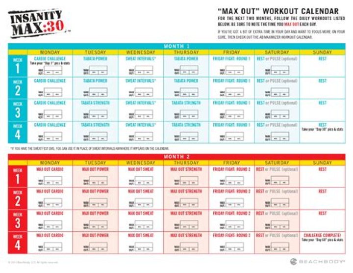 What are the insanity max 30 workouts?