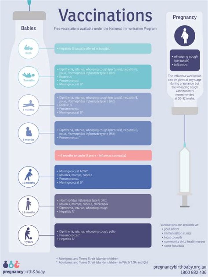What are the main vaccines?