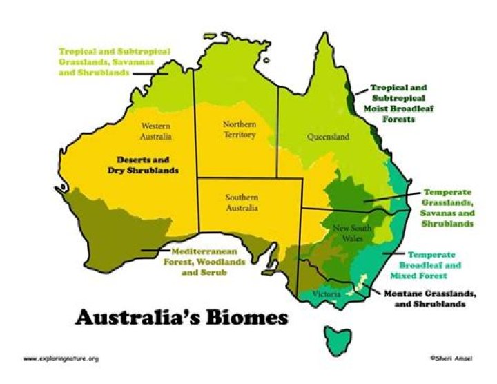 What are the major Australian biomes?