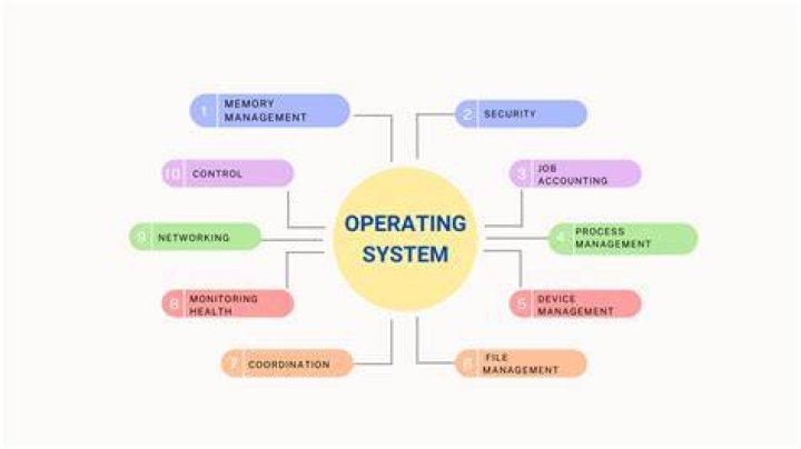 What are the roles of engineering geology?