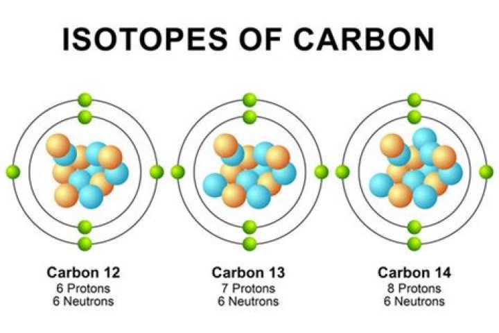 What are the stable isotopes of carbon quizlet?