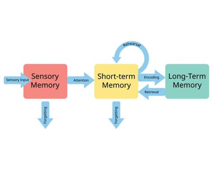 What are the two predefined stored procedure used to prepare string of XML into memory and then remove it from memory?