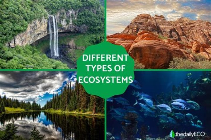 What are the types of rests?