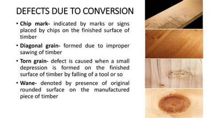 What are the types of timber defects?