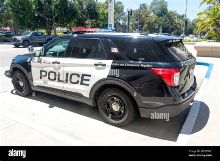 What are the white boxes on the back of a police car?