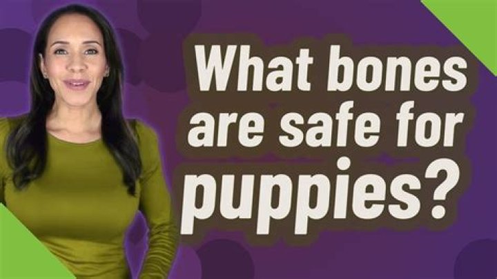 What bones are safe for puppies?