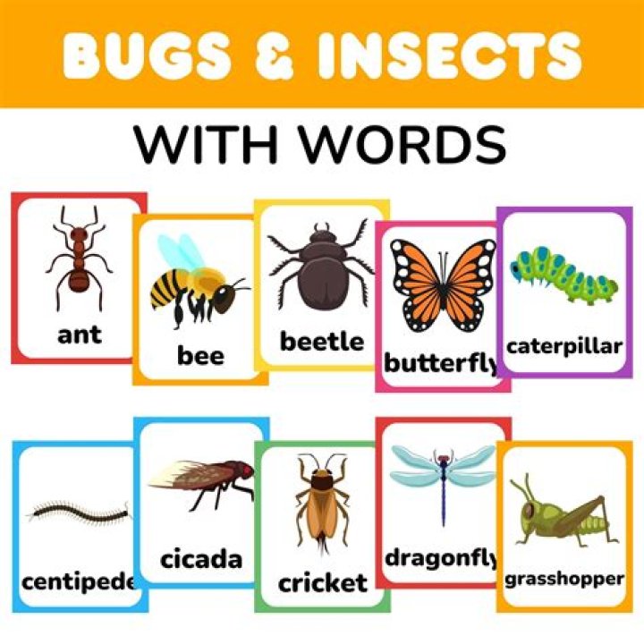 What bugs are in Tennessee?