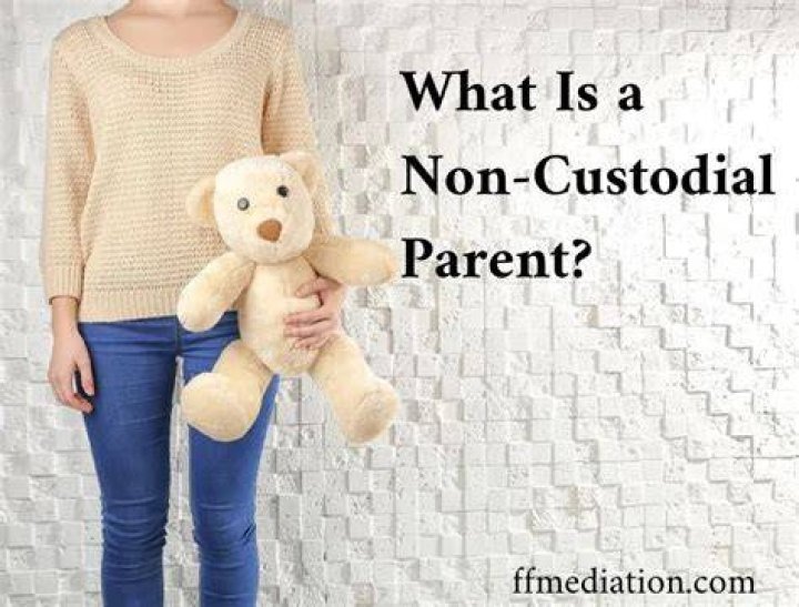 What can a non-custodial parent do?