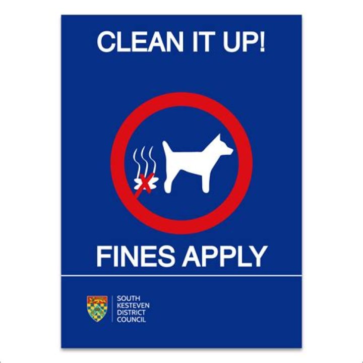 What can be done about dog fouling?