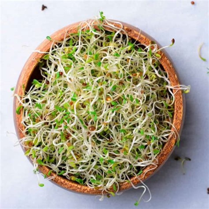 What can I do with too many bean sprouts?