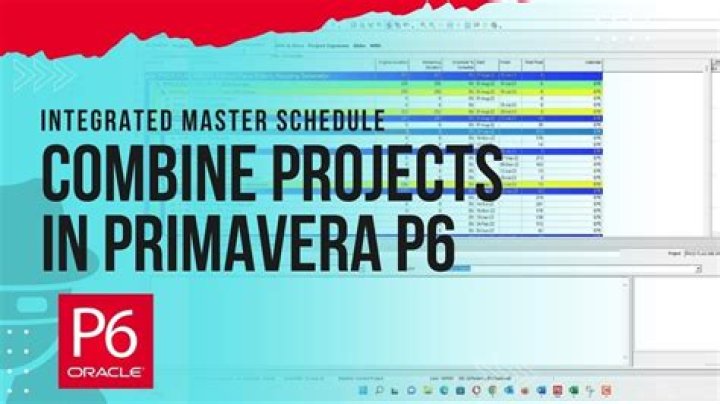 What can you do with Primavera P6?