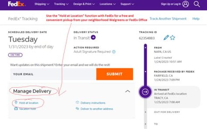 What can you not ship through FedEx?