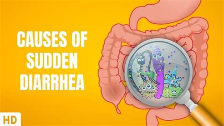 What causes foul-smelling gas and diarrhea?
