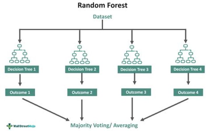 What causes Overfitting in random forest?