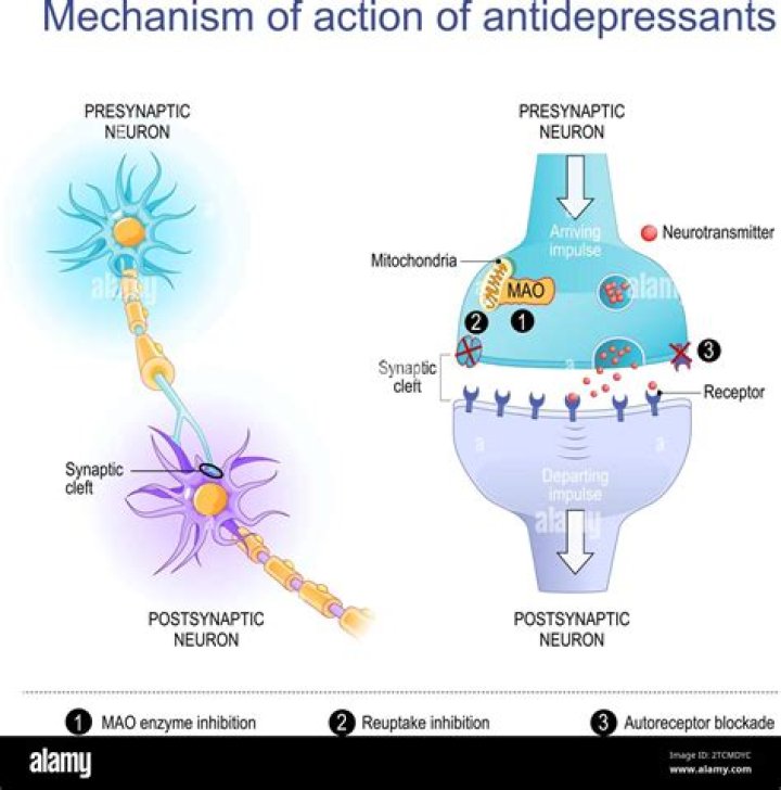 What causes presynaptic inhibition?