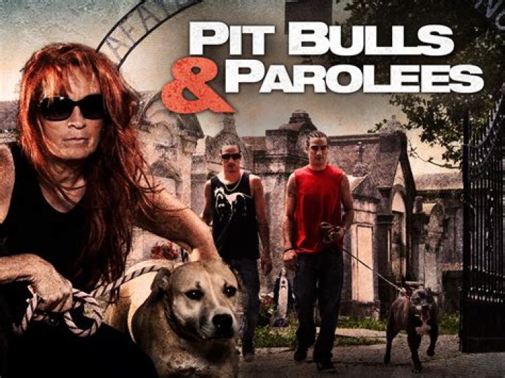 What channel is pitbulls and parolees on Dish?