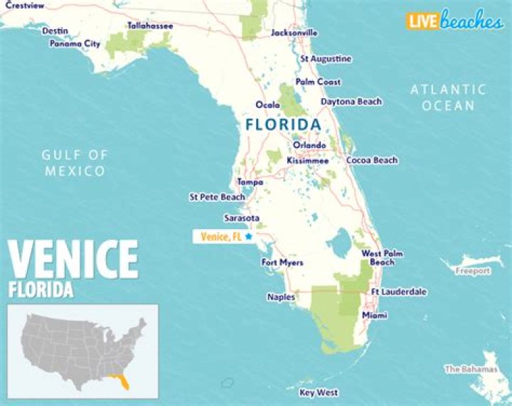 What city is Venice Florida close to?