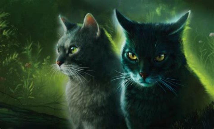 What clan is Needletail in?