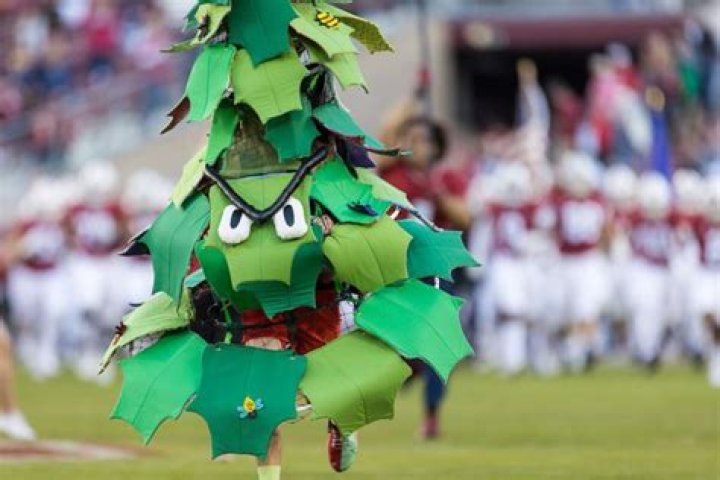 What college mascot is a tree?