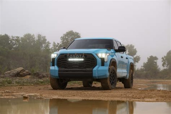 What color is a tundra?