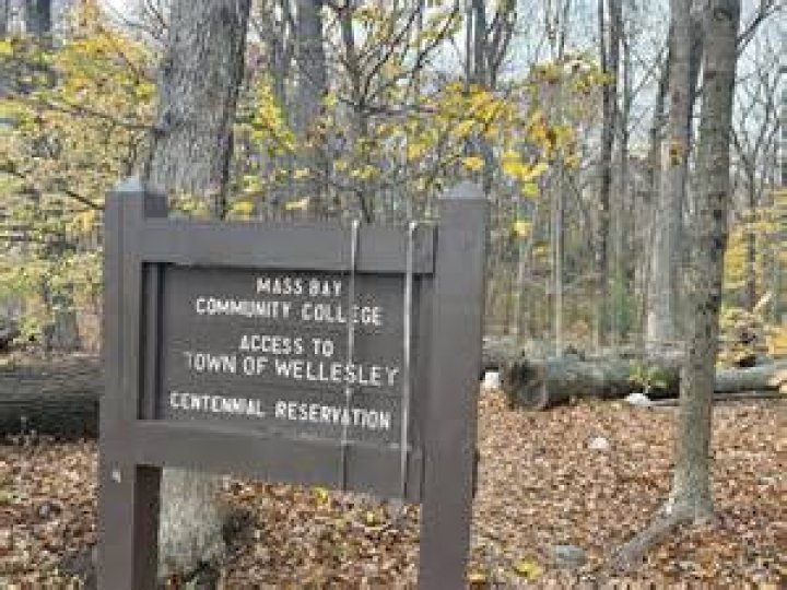 What county is Wellesley MA?